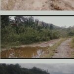 Screenshot_20250619_192436 (1)